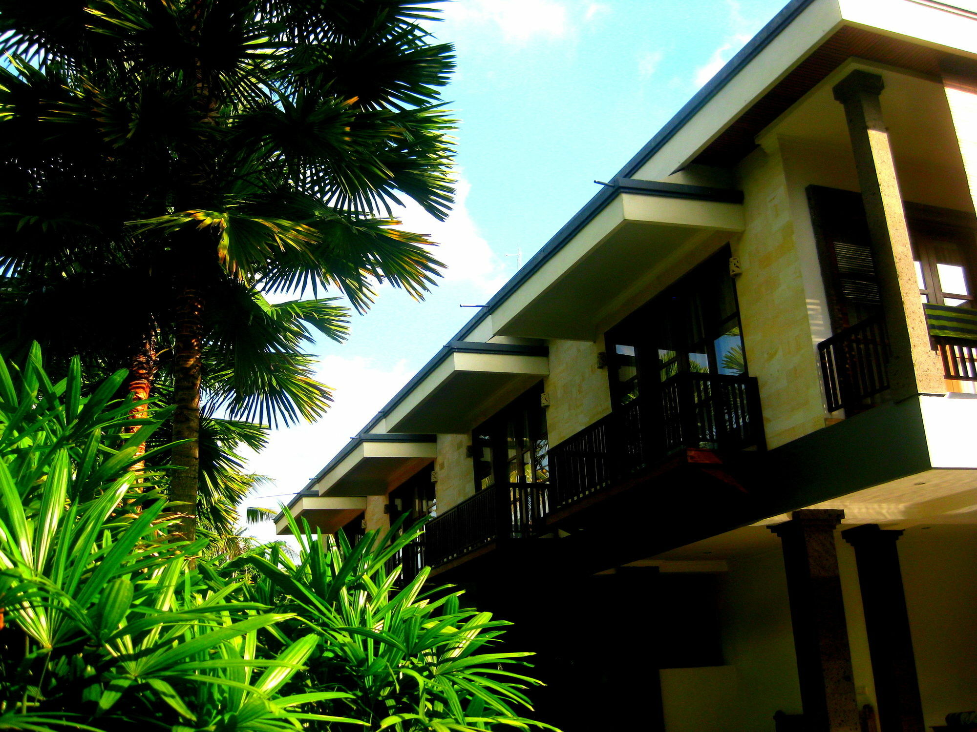 Villa Sonia Bisma Ubud Exteriér fotografie