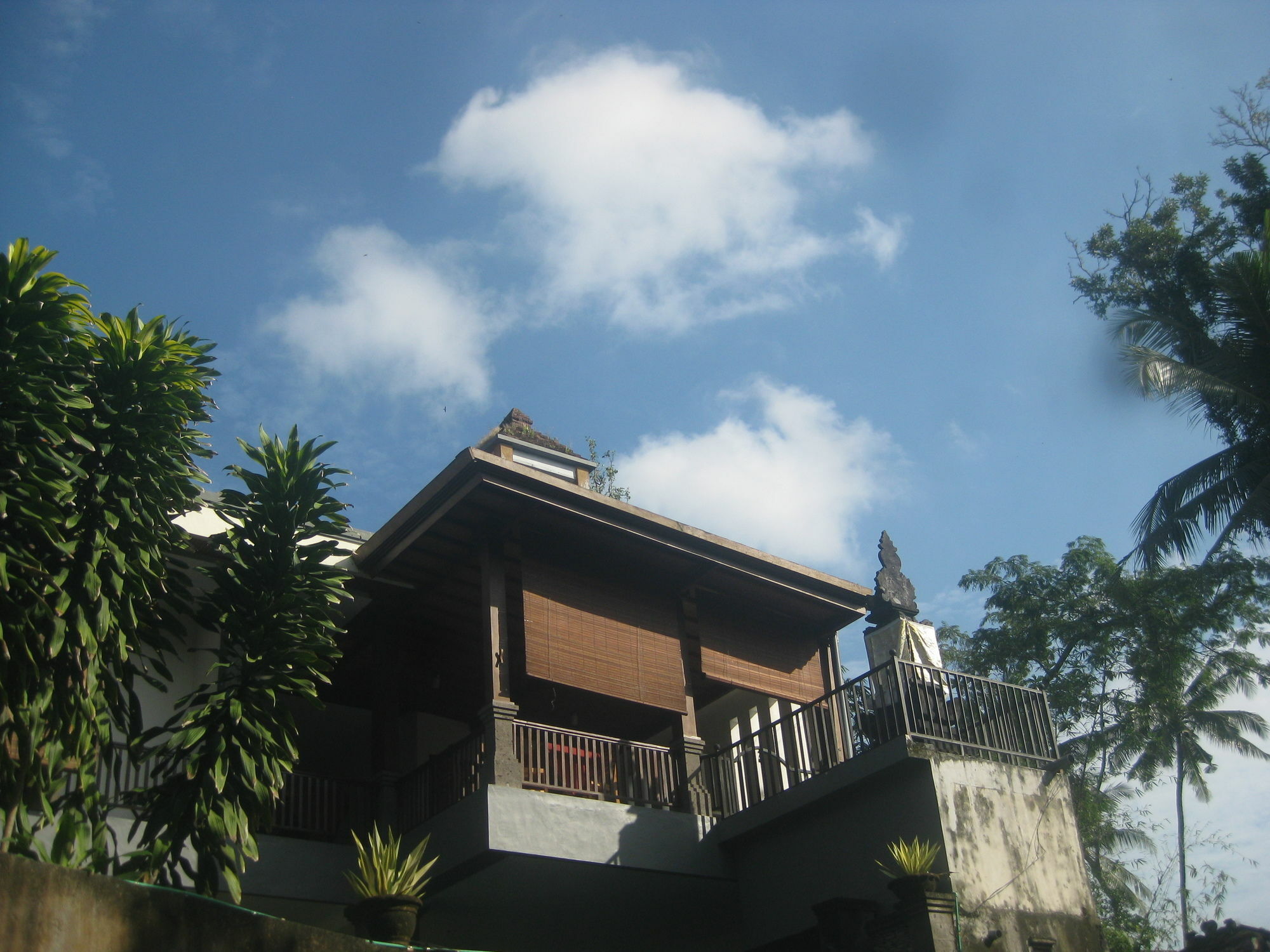 Villa Sonia Bisma Ubud Exteriér fotografie